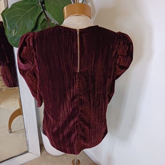 Size Large Leyden Velvet Puff Sleeves Women's Blouse Velvet Dark Burgundy Fall - Picture 3 of 9